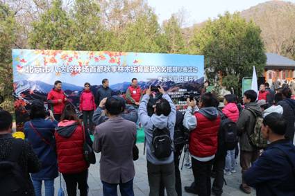 首都秋季林木抚育管护活动在北京市八达岭林场举办