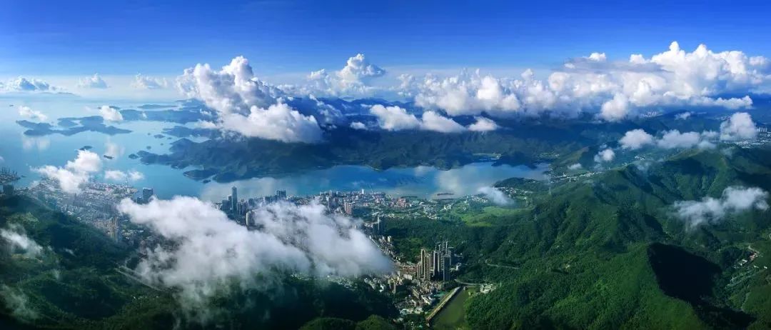 超美照片，让你爱上“美丽深圳”！