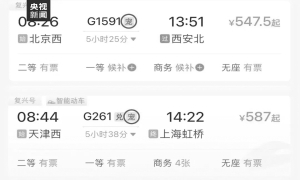 12306购票页面出现“宠”字，咋回事？