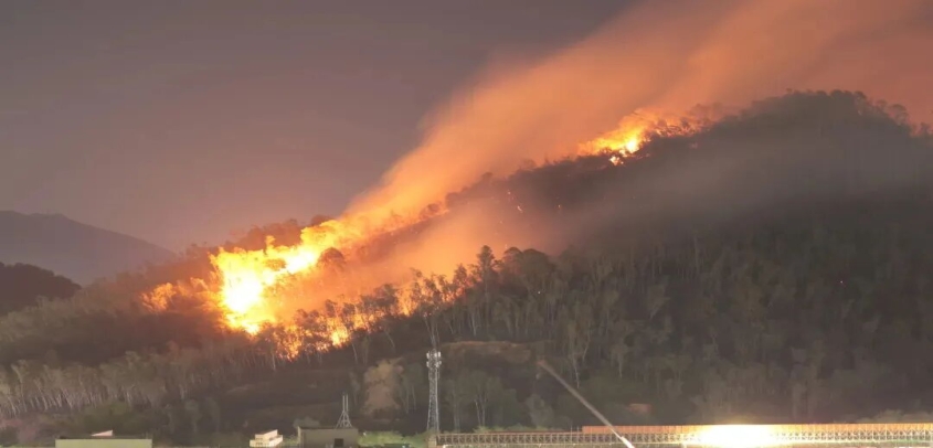 深圳坪山突发山火，相关部门正全力开展扑救工作