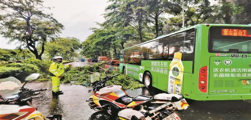 暴雨突袭鹏城 停课不停守护 全市各校细致防控为学子撑起“安全伞”